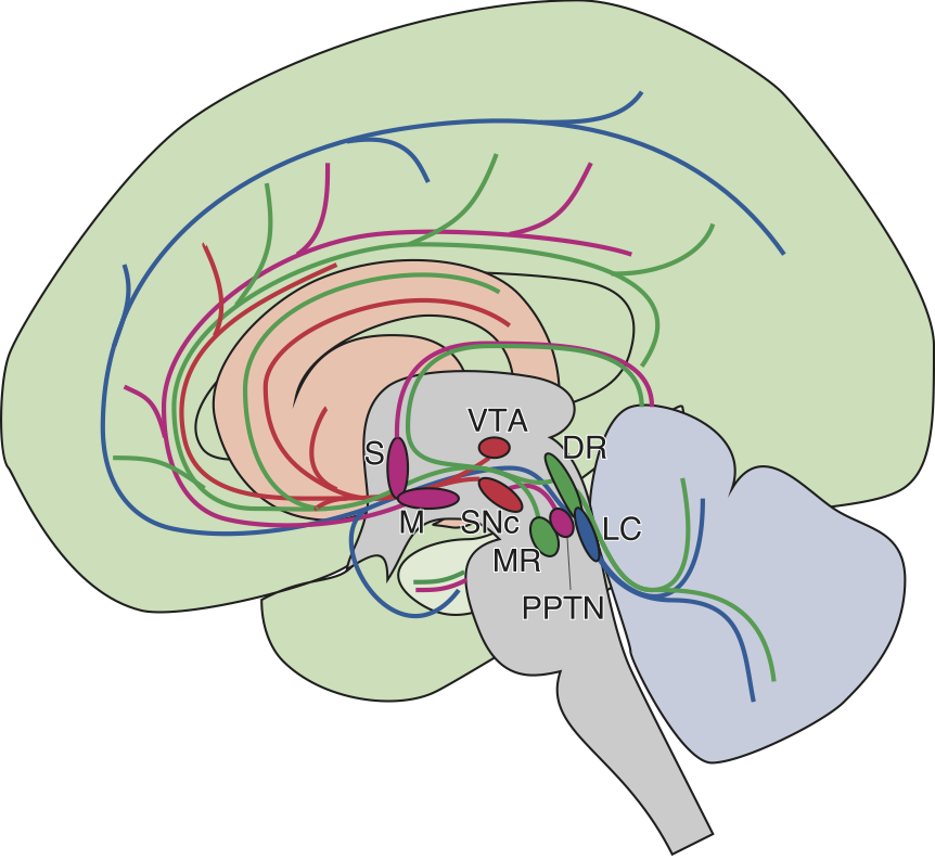 Neuromodulators