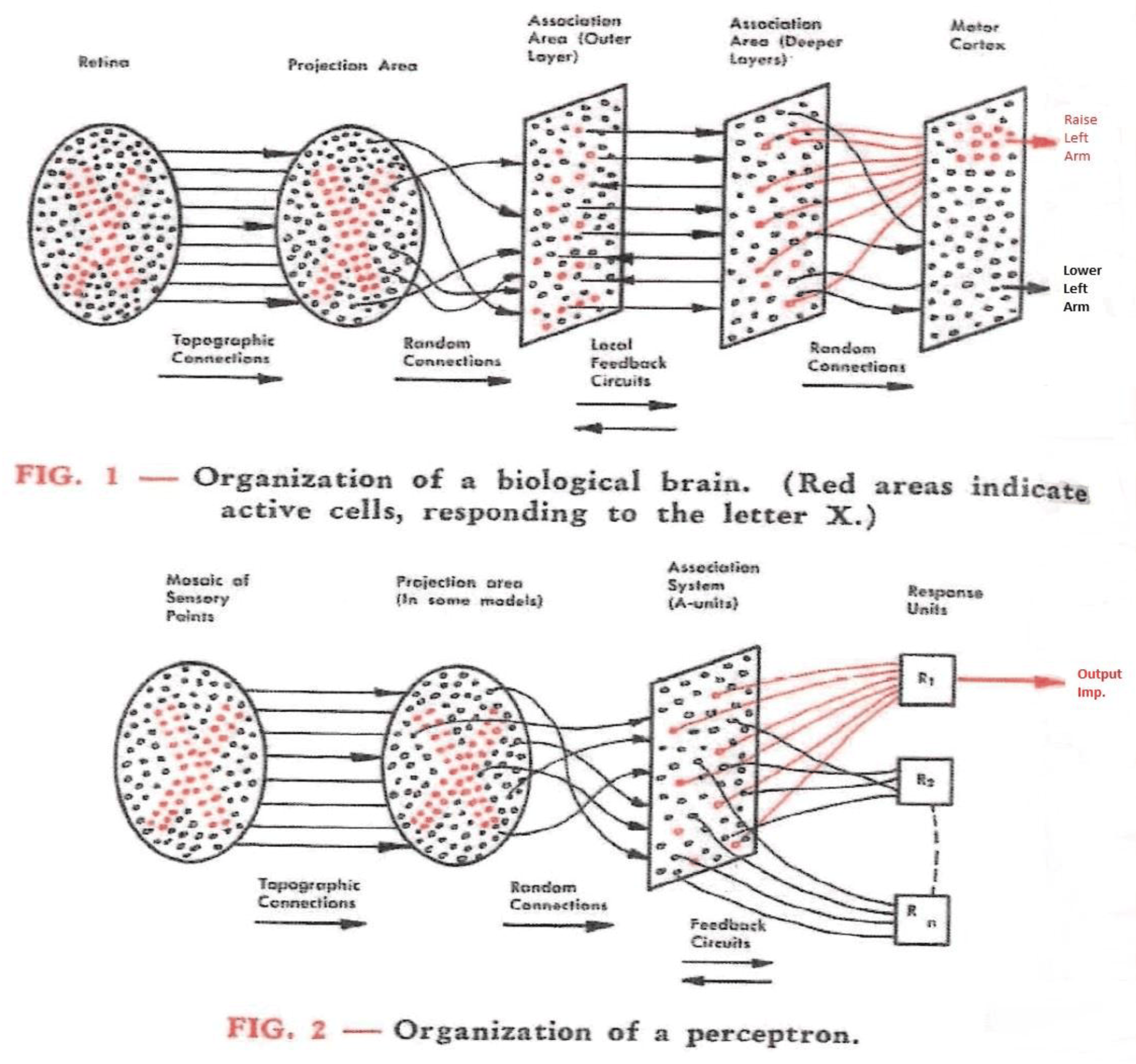 Perceptron